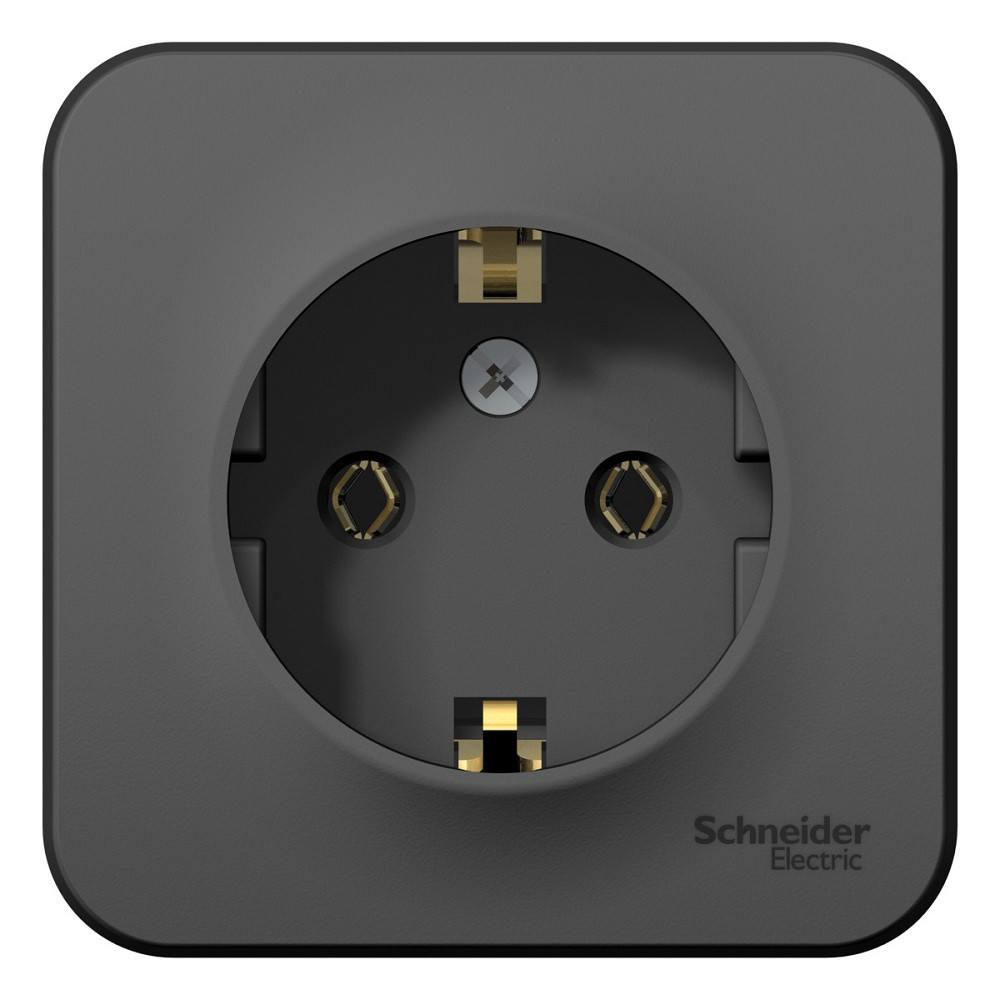 Розетка Schneider Electric Blanca BLNRA010116 одноместная с заземлением и изолирующей пластиной антрацит