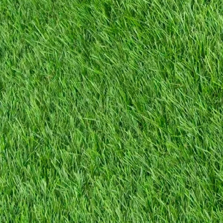 Трава искусственная Grass 2-4 тона 20 мм 2х30 м