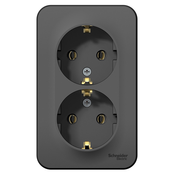Розетка Schneider Electric Blanca BLNRA010216 двухместная с заземлением и изолирующей пластиной антрацит