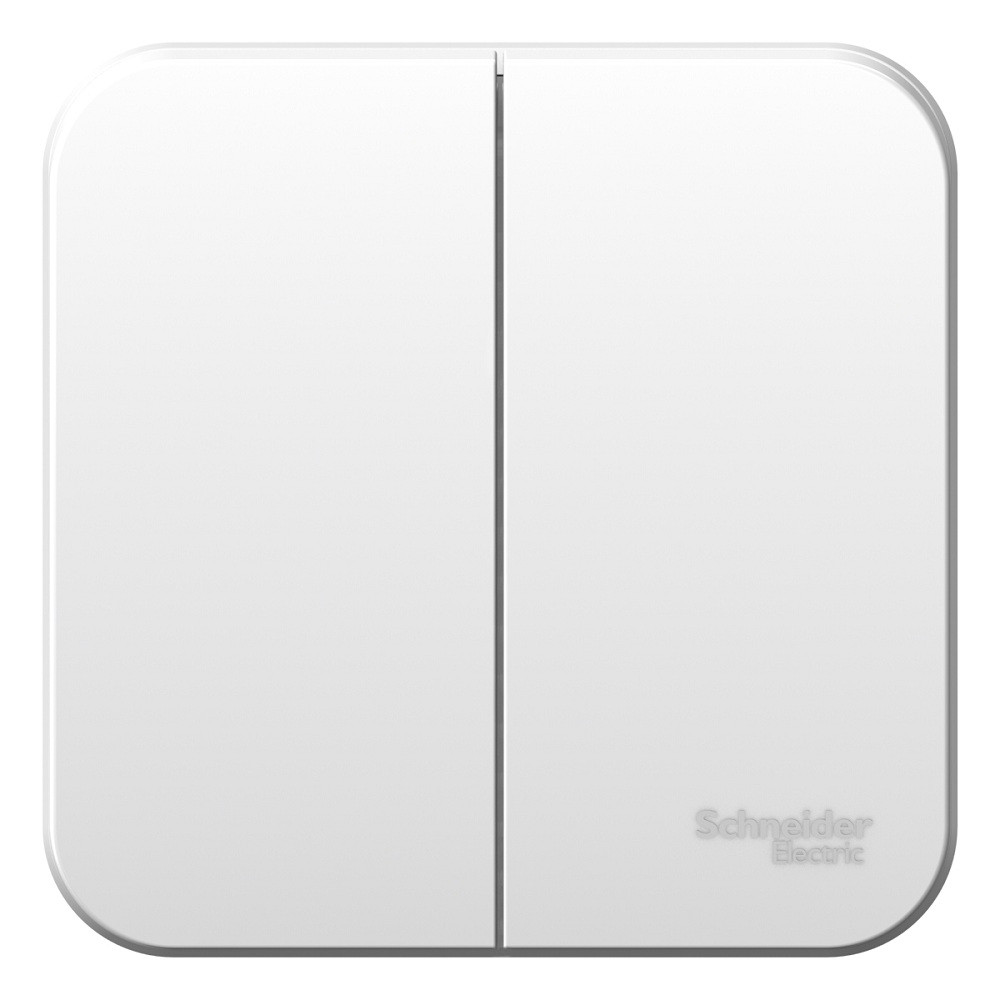 Выключатель Schneider Electric Blanca BLNVA065001 двухклавишный белый