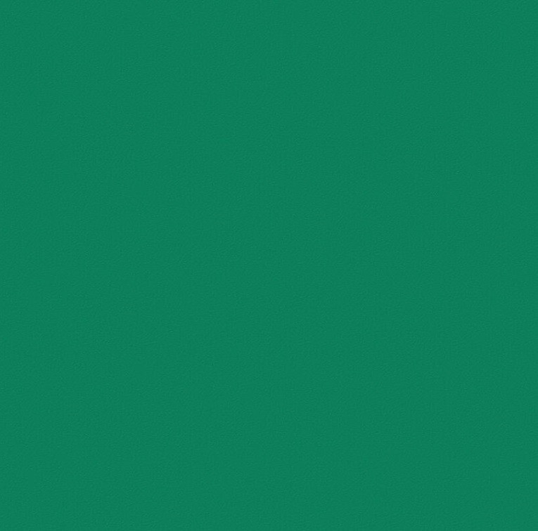 Линолеум спортивный Tarkett Omnisports Action 40 Field Green 2x20,5 м
