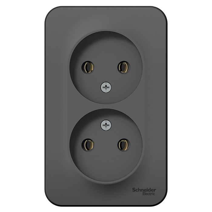 Розетка Schneider Electric Blanca BLNRA000216 двухместная без заземления с изолирующей пластиной антрацит