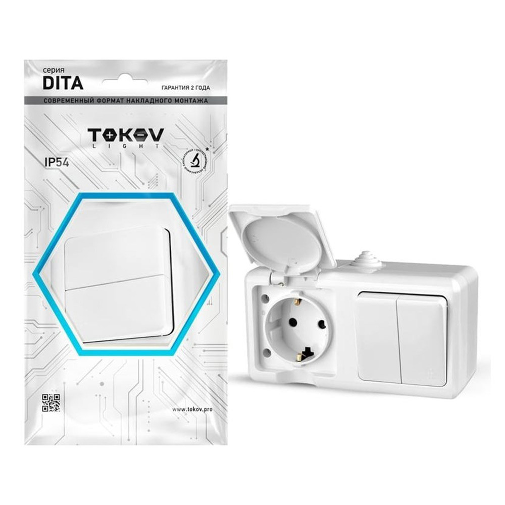 Блок розетки с выключателем Tokov Electric Dita TKL-DT-V2RZ-C01-IP54 двухклавишный белый