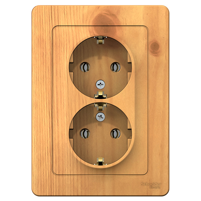 Розетка Schneider Electric Blanca BLNRS001025 двухместная с заземлением ясень