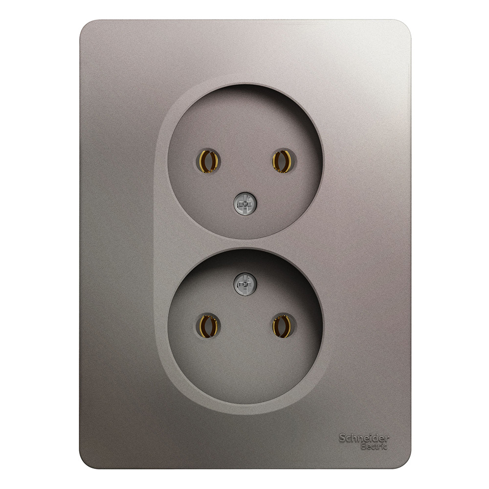 Розетка Schneider Electric Glossa GSL001220 двухместная без заземления платина