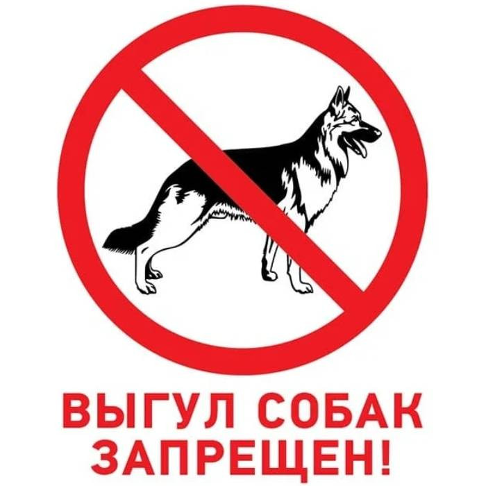Табличка запрещающий знак Rexant Выгул собак запрещен 56-0039-2 200х200 мм