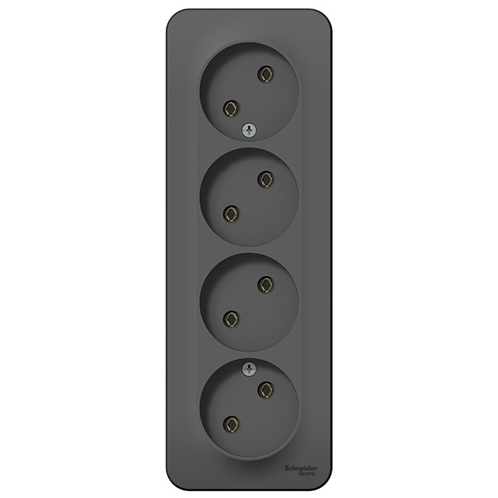 Розетка Schneider Electric Blanca BLNRA000416 четырехместная с изолирующей пластиной антрацит