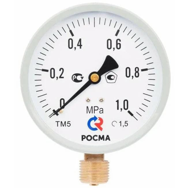 Манометр радиальный Росма ТМ-510Р.00 М2 00000006817 Дк 100мм 0-0,6 МПа 1/2 дюйма